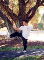 02ad04.jpg (207355 bytes)