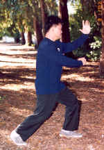 AD8-11-03d.jpg (132177 bytes)