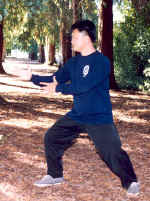 AD8-11-03f.jpg (90564 bytes)