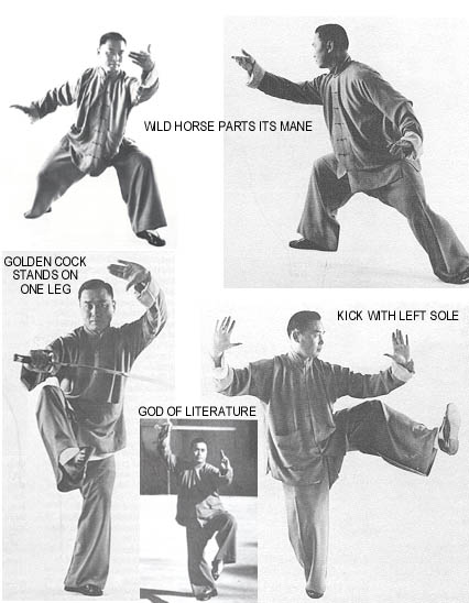 Pictures of Tung Hu-ling